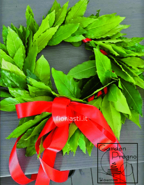 Coroncina di alloro per laurea