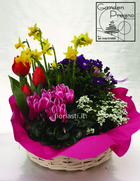 Cestino piante primaverili
