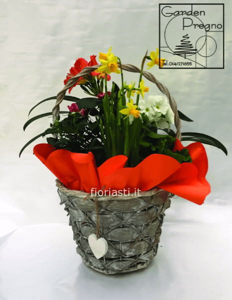 Cestino piccolo piante primaverili