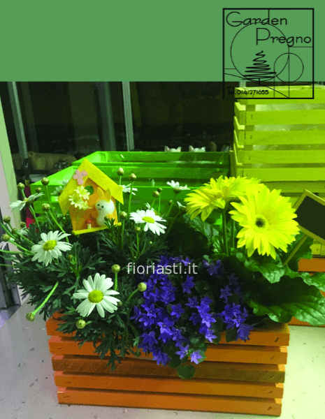 Cesto legno colorato con piante fiorite di stagione