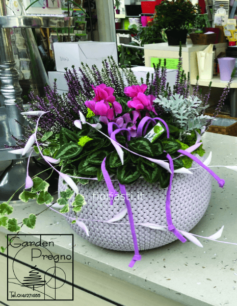Composizione piante fiorite autunno/inverno