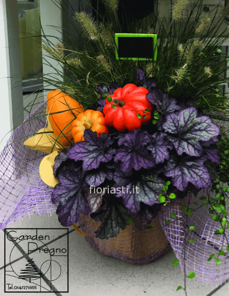 Composizione piante autunnale con zucca