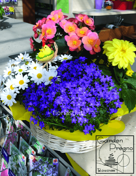 Cesto vimini con piante fiorite primavera/estate