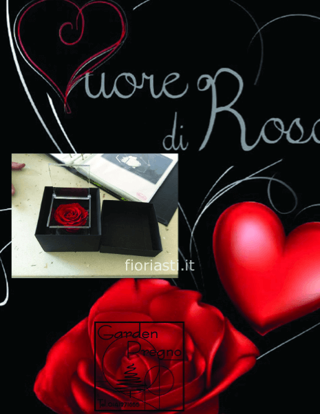 Cube rosa vera stabilizzata profumata in diversi colori