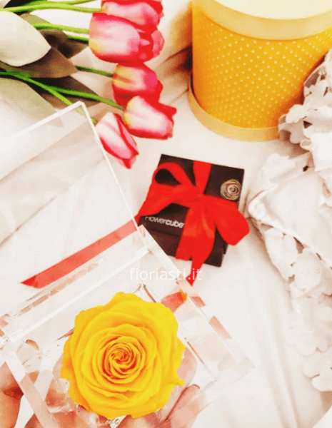 Cube rosa vera stabilizzata profumata piccola