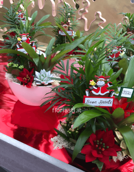 Ciotola cm 22 (come foto)